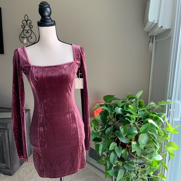 Dresses & Skirts - NWT Velvet Bodycom Mini